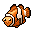 Clown Fish
