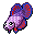 Betta